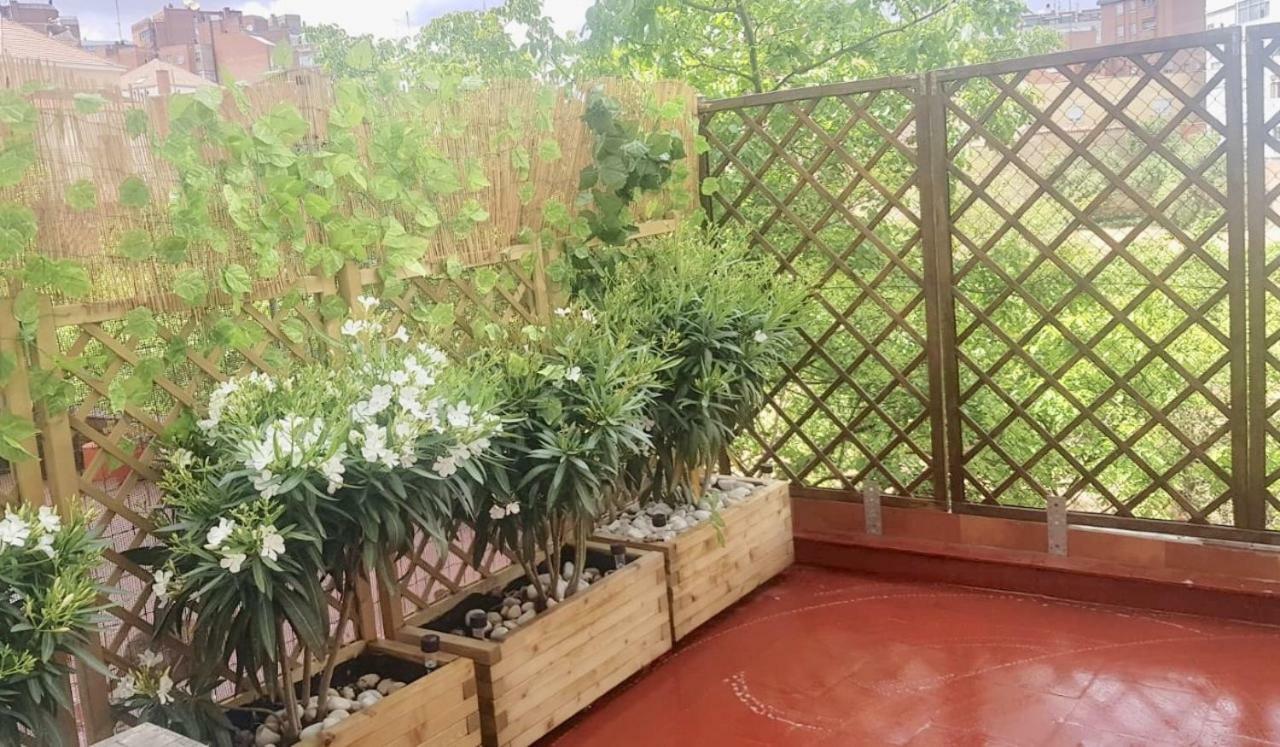 Appartement San Quirce - Céntrico Y Reformado- Wifi Y Netflix Valladolid